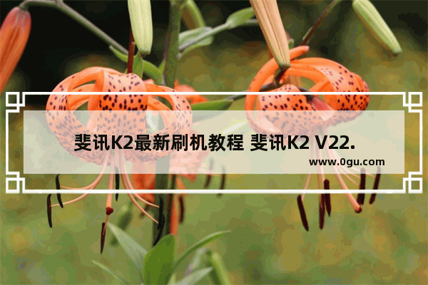 斐讯K2最新刷机教程 斐讯K2 V22.5.9.163官方固件修改版(集成breed)