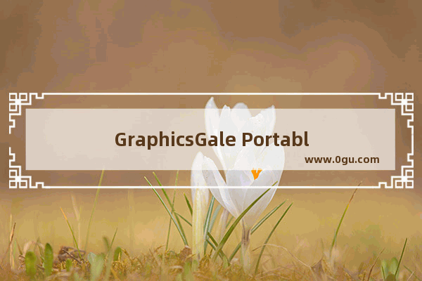 GraphicsGale Portable汉化版怎么开始绘画 GraphicsGale Portable汉化版开始绘画的方法