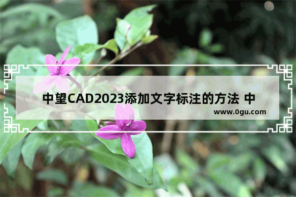 中望CAD2023添加文字标注的方法 中望CAD2023怎么添加文字标注