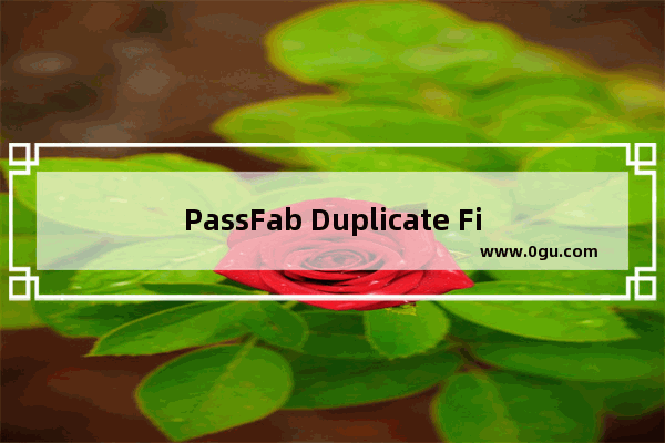 PassFab Duplicate File Deleter使用方法 PassFab Duplicate File Deleter怎么删除重复文件