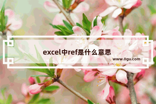 excel中ref是什么意思 