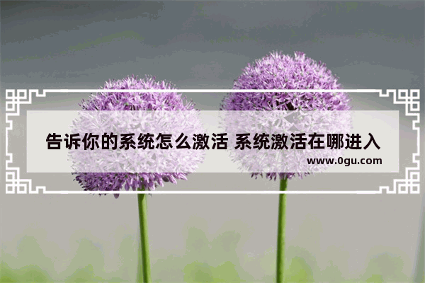 告诉你的系统怎么激活 系统激活在哪进入