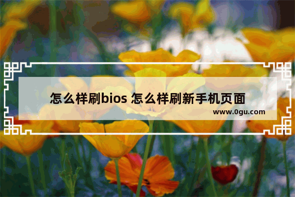 怎么样刷bios 怎么样刷新手机页面