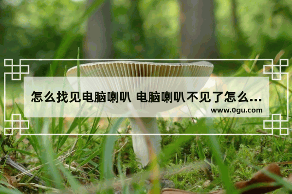 怎么找见电脑喇叭 电脑喇叭不见了怎么出来