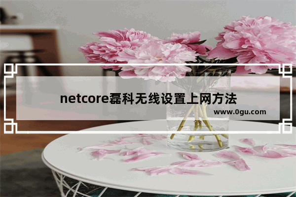 netcore磊科无线设置上网方法