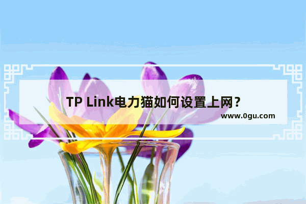 TP Link电力猫如何设置上网？