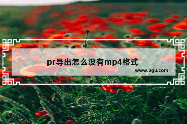 pr导出怎么没有mp4格式 