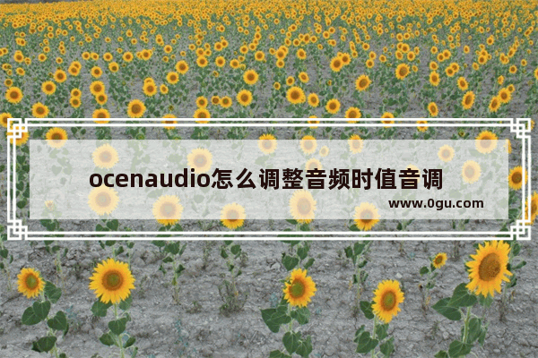 ocenaudio怎么调整音频时值音调 ocenaudio调整音频时值音调的方法