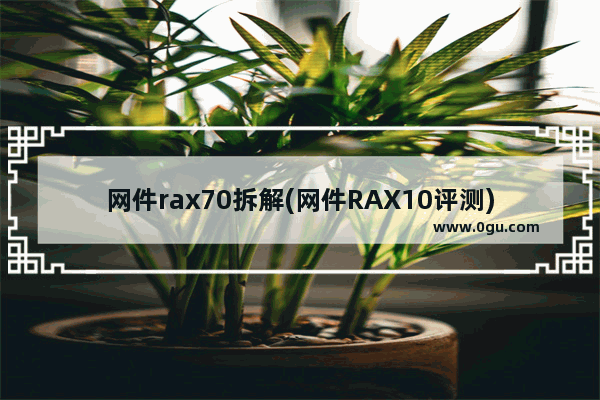 网件rax70拆解(网件RAX10评测)