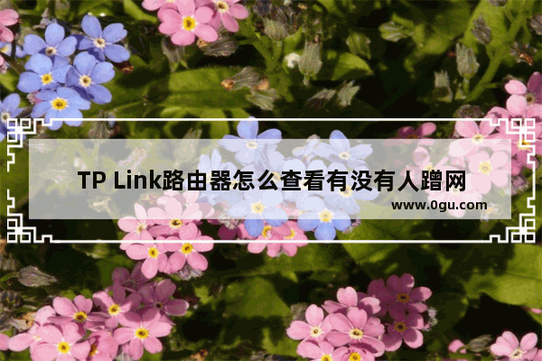 TP Link路由器怎么查看有没有人蹭网【查看方法】