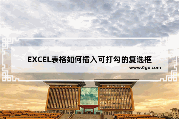 EXCEL表格如何插入可打勾的复选框