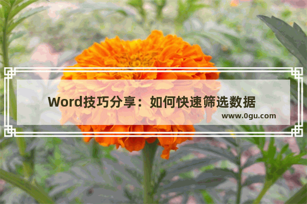 Word技巧分享：如何快速筛选数据 