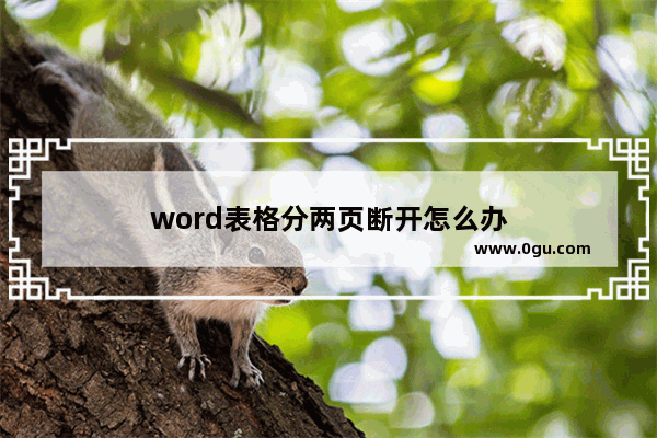 word表格分两页断开怎么办