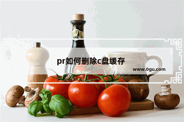 pr如何删除c盘缓存 