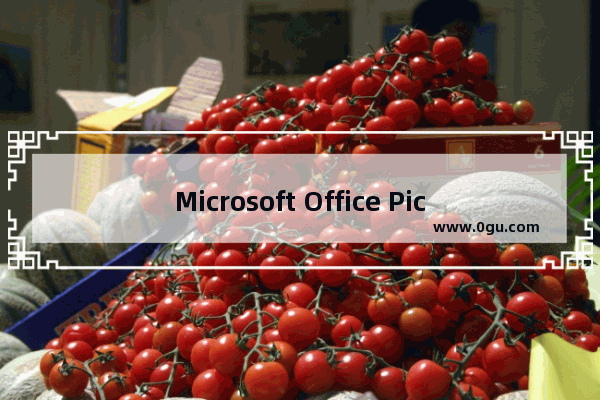 Microsoft Office Picture Manager调整图片尺寸的方法 Microsoft Office Picture Manager怎么调整图片尺寸