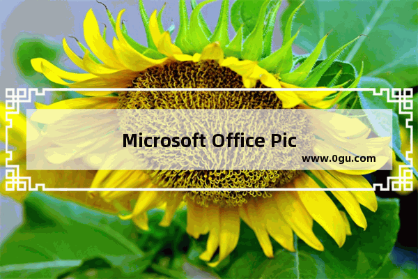 Microsoft Office Picture Manager裁剪图片的方法 Microsoft Office Picture Manager怎么裁剪图片