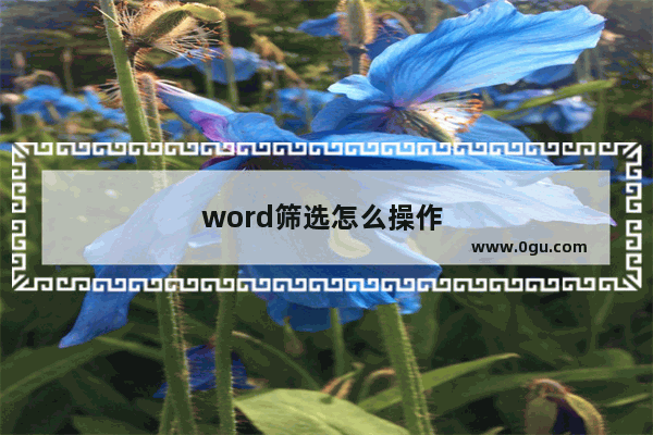 word筛选怎么操作 