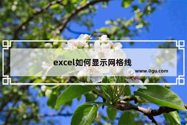 excel如何显示网格线 