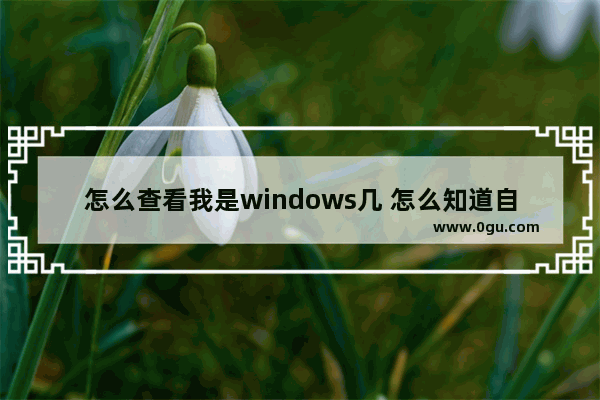 怎么查看我是windows几 怎么知道自己是windows几