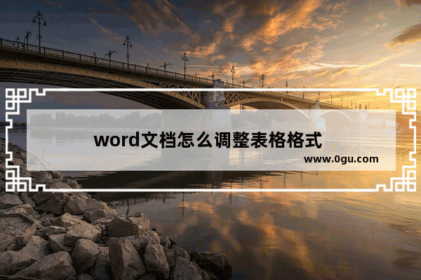 word文档怎么调整表格格式 