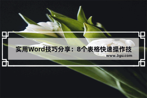 实用Word技巧分享：8个表格快速操作技巧 