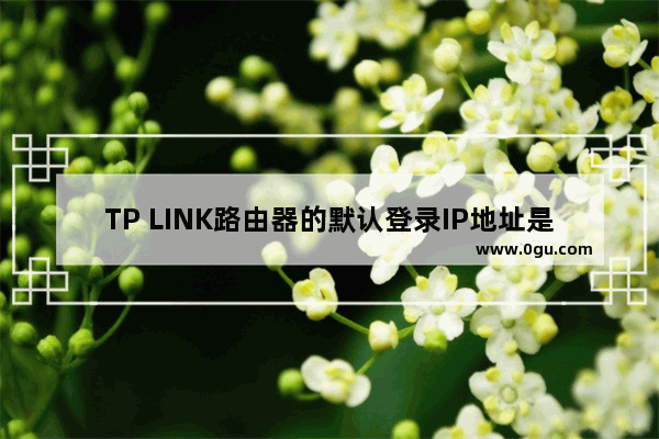 TP LINK路由器的默认登录IP地址是多少