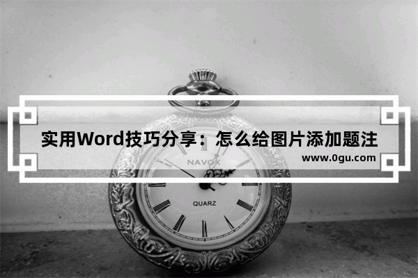 实用Word技巧分享：怎么给图片添加题注 