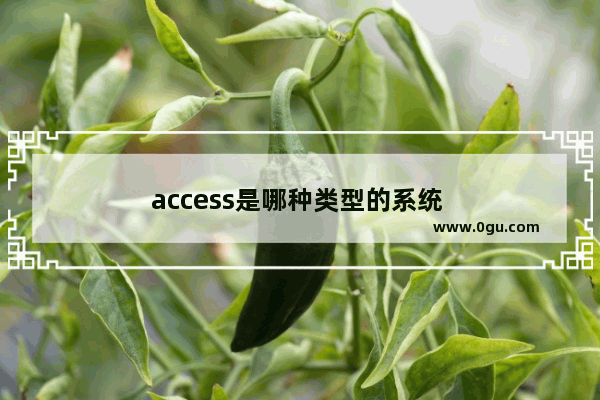 access是哪种类型的系统 