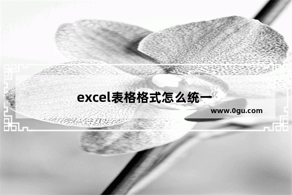 excel表格格式怎么统一 