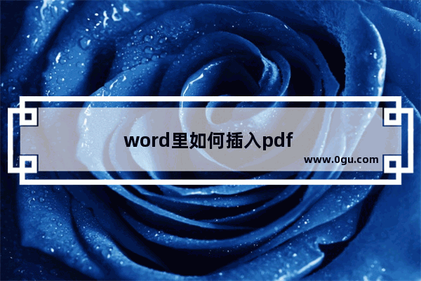 word里如何插入pdf 