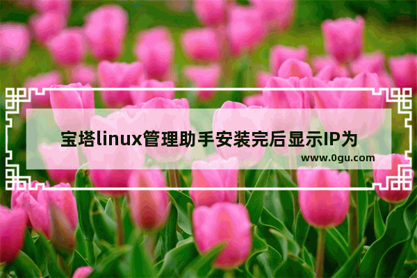 宝塔linux管理助手安装完后显示IP为内网IP怎么办 