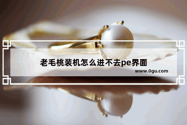 老毛桃装机怎么进不去pe界面