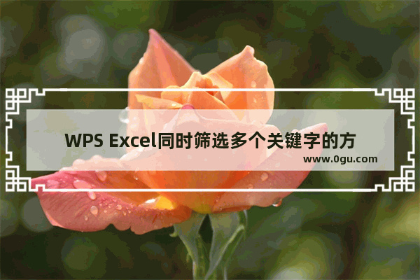 WPS Excel同时筛选多个关键字的方法 WPS Excel如何同时筛选多个关键字