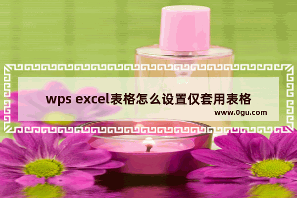 wps excel表格怎么设置仅套用表格样式 wps excel表格设置仅套用表格样式的方法