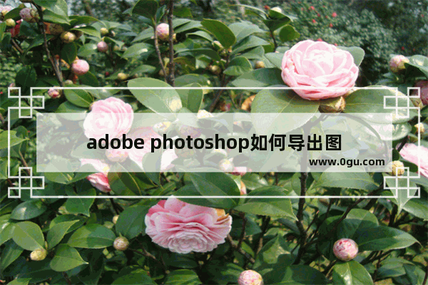 adobe photoshop如何导出图片为jpg adobe photoshop将图片导出为jpg的方法