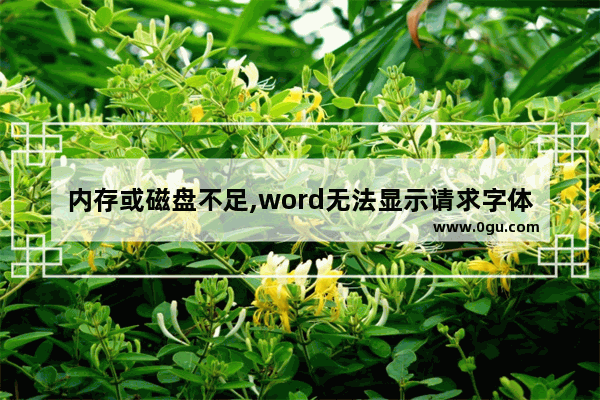 内存或磁盘不足,word无法显示请求字体怎么办 