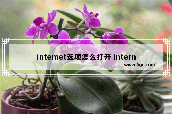 intemet选项怎么打开 internet选项如何打开