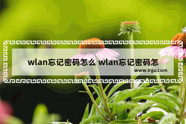 wlan忘记密码怎么 wlan忘记密码怎么在手机上查找