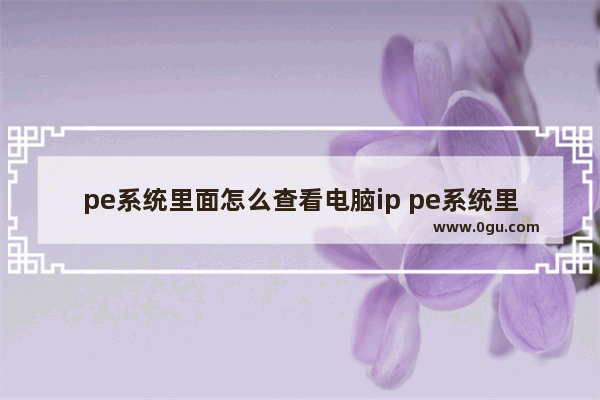 pe系统里面怎么查看电脑ip pe系统里怎么看ip地址