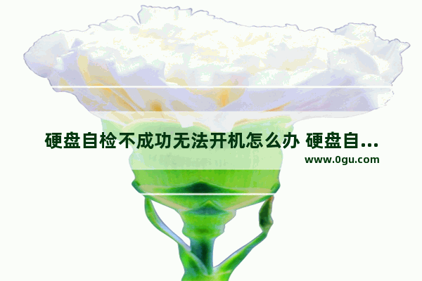 硬盘自检不成功无法开机怎么办 硬盘自检不成功,已终止是什么原因