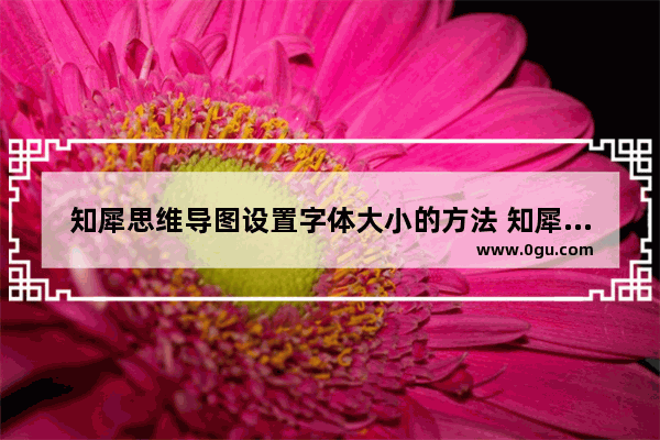 知犀思维导图设置字体大小的方法 知犀思维导图怎么设置字体大小