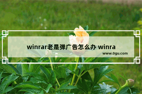 winrar老是弹广告怎么办 winrar打开文件总是弹广告