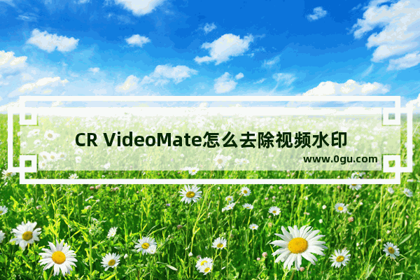 CR VideoMate怎么去除视频水印 CR VideoMate去除视频水印的方法