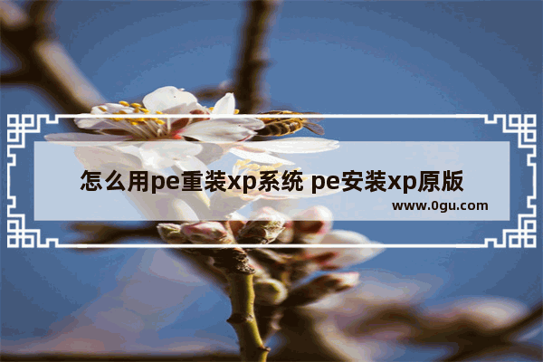 怎么用pe重装xp系统 pe安装xp原版系统教程