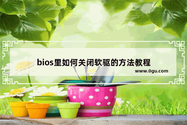 bios里如何关闭软驱的方法教程