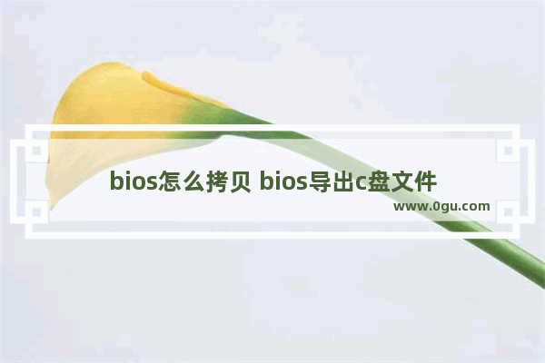 bios怎么拷贝 bios导出c盘文件