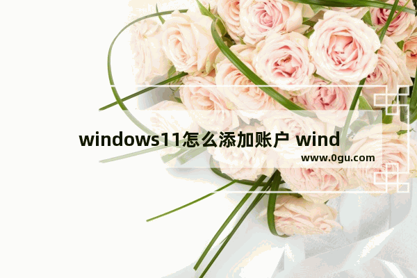 windows11怎么添加账户 windows11怎么添加账户方法介绍