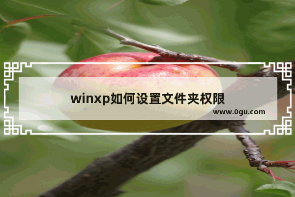 winxp如何设置文件夹权限