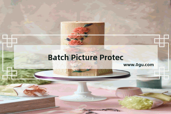 Batch Picture Protector怎么添加水印 Batch Picture Protector添加水印的方法