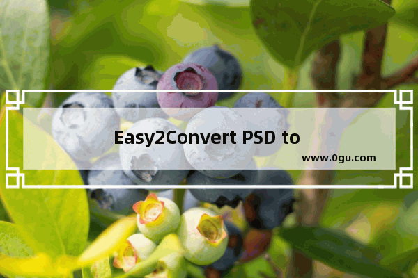 Easy2Convert PSD to DDS将psd转换为dds的方法 Easy2Convert PSD to DDS怎么转换